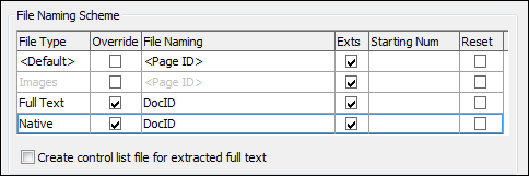 File Naming Scheme section on the Options tab