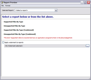 Electronic discovery reports in the Report Preview dialog box