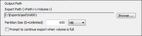 Output Path section on the Options tab