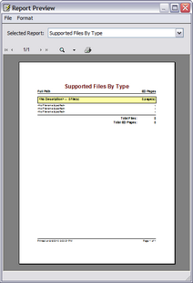 Report preview for the Supported Files By Type report