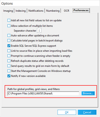 Preferences tab in the Options dialog box