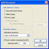 Split Document dialog box