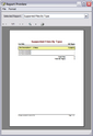 Report preview for the Supported Files By Type report
