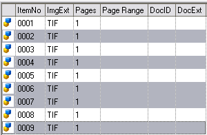 Selecting documents for batch updates on the Index tab