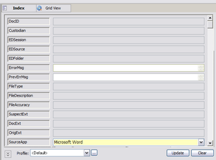 Updating field information on the Index tab