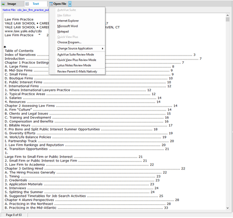 mainopenfileviewer_zoom50
