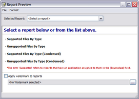 Report Preview dialog box