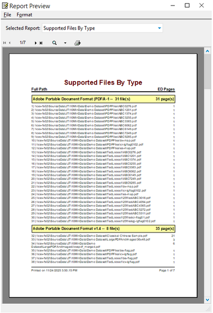 Report preview for the Supported Files By Type report