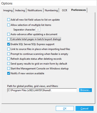 Preferences tab in the Options dialog box